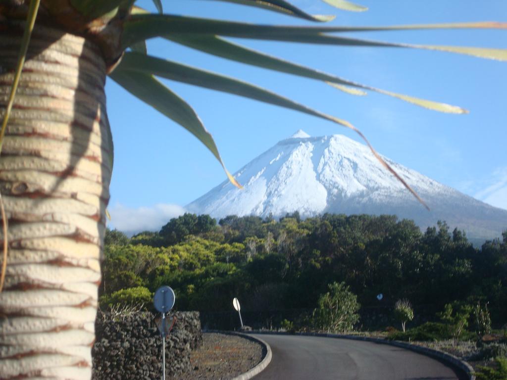 Pico Formoso Vinea Lava Alojamentos Pico Prainha  Ngoại thất bức ảnh